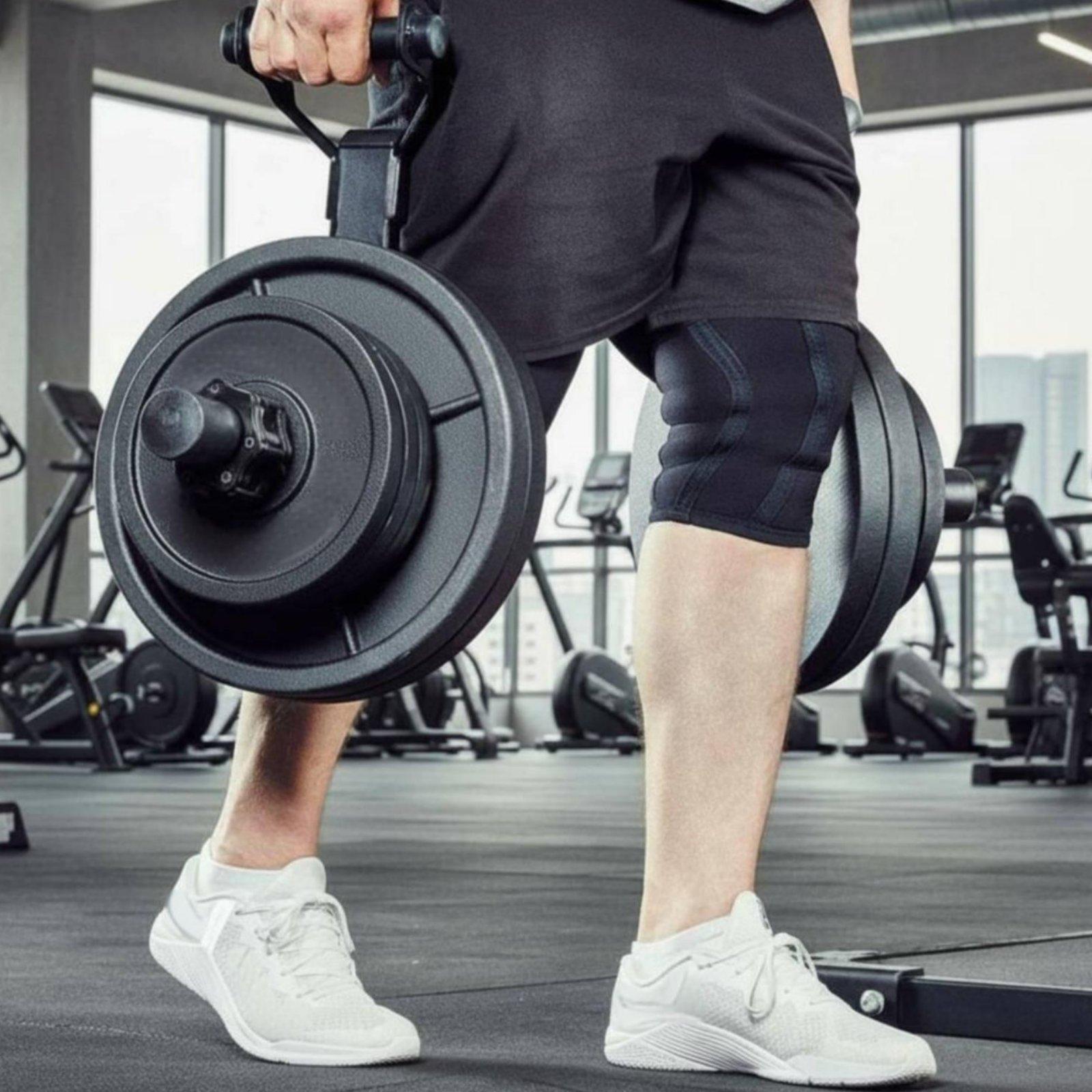 ชั้นวางจัดระเบียบแผ่นน้ำหนักบา - Home Gym Fitness บทวิจารณ์และราคา