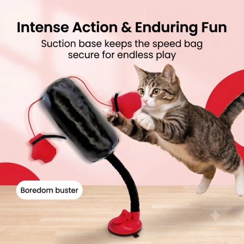 ของเล่นชกมวยสำหรับแมวแบบตั้งได - Boxing Bag Stand บทวิจารณ์และราคา