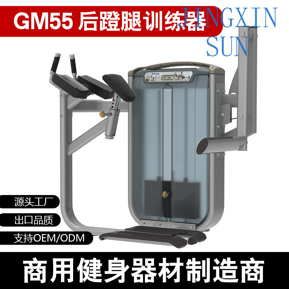 เครื่องฝึกกล้ามเนื้อขาแบบยืนสำ - Home Gym Leg Extension Machine บทวิจารณ์และราคา