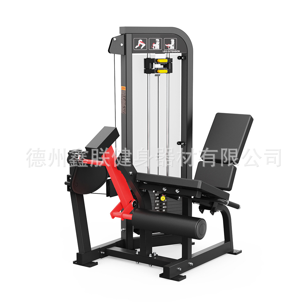 ชุดอุปกรณ์ออกกำลังกายยี่ห้อ Gy - Home Gym Leg Extension Machine บทวิจารณ์และราคา